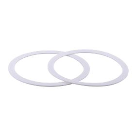 PTFE Gasket